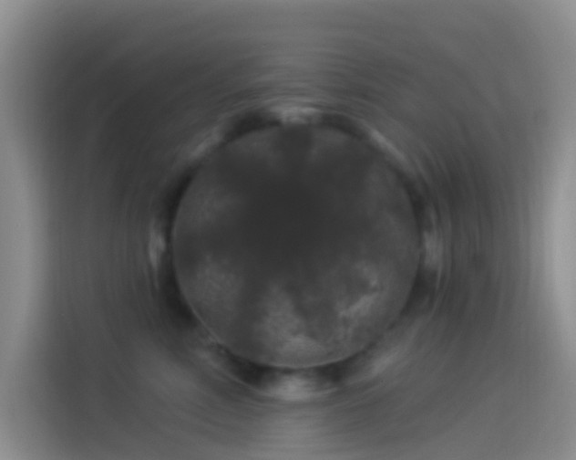 X0000114120618200910131405