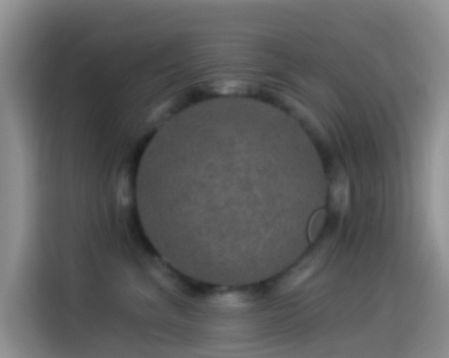 X0000114120620200910131405