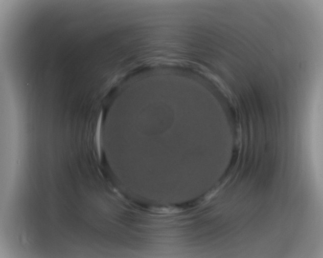 X0000114120621200910131405