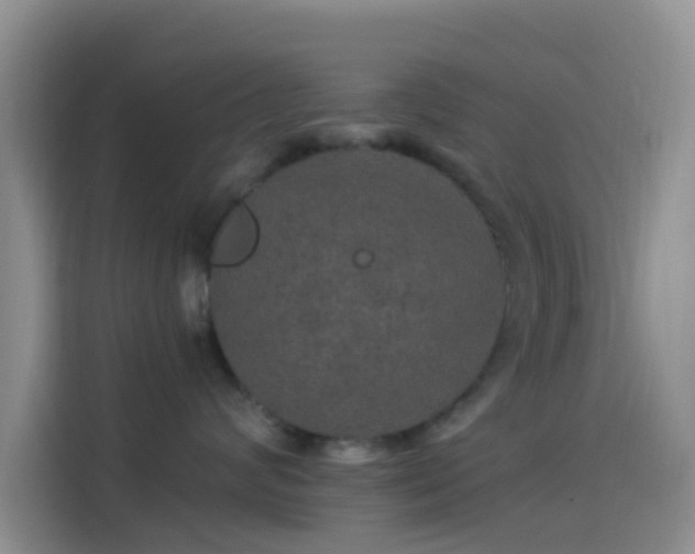 X0000114120624200910131405