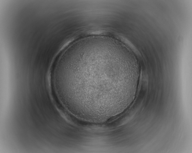 X0000114120626200910131404