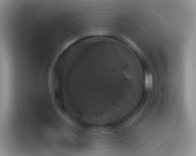 X0000114120627200910131404