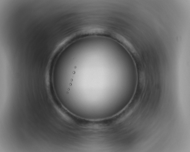 X0000114120629200910131404