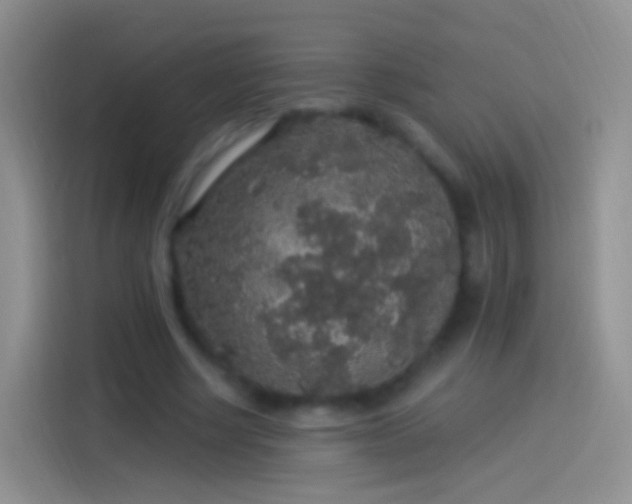 X0000114120634200910131404