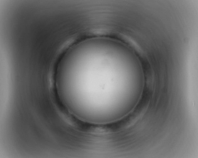 X0000114120635200910131404