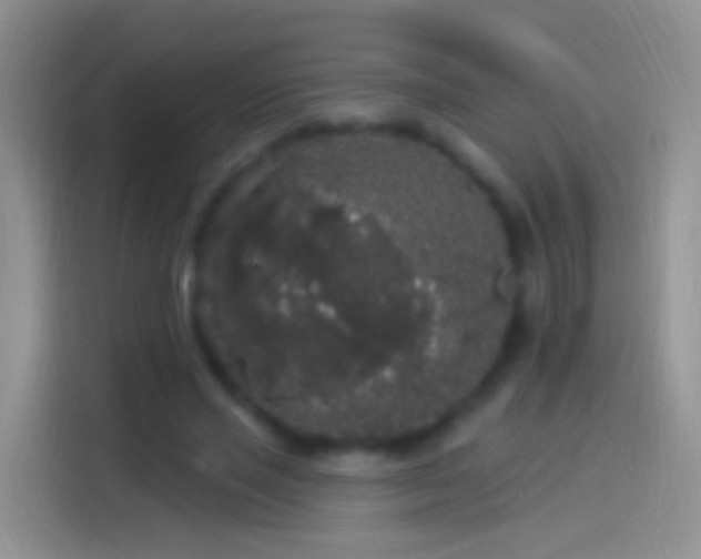 X0000114120637200910131404