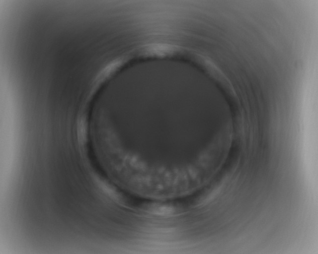 X0000114120640200910131404