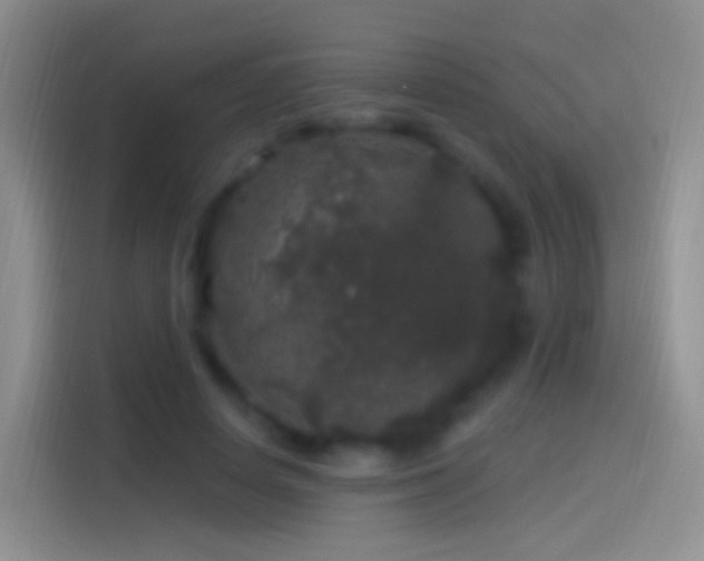 X0000114120642200910131404