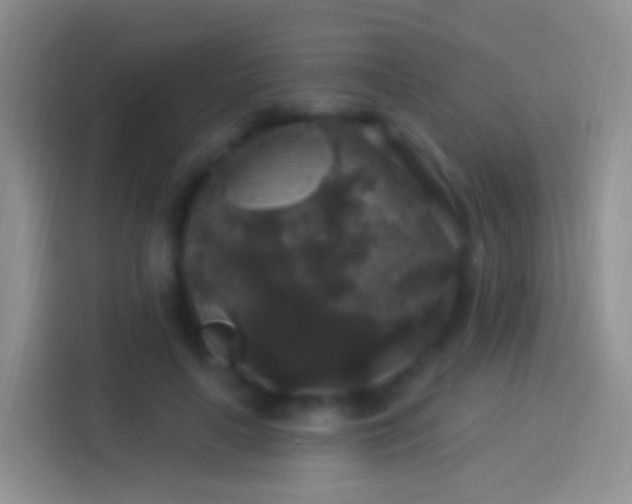 X0000114120643200910131404