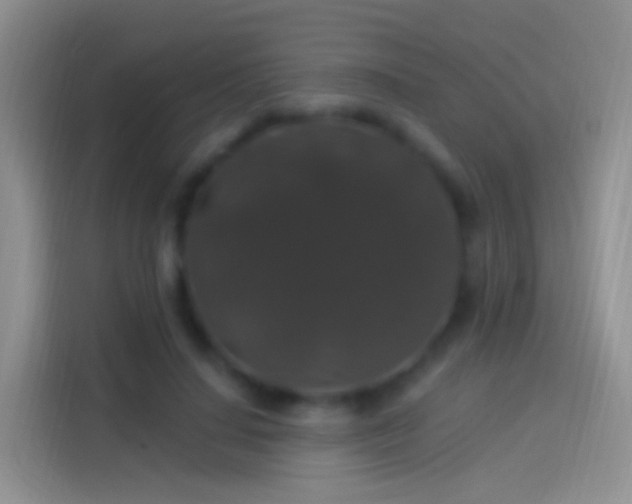 X0000114120644200910131404