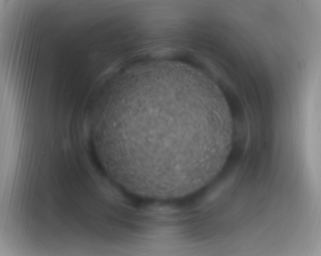 X0000114120648200910131404