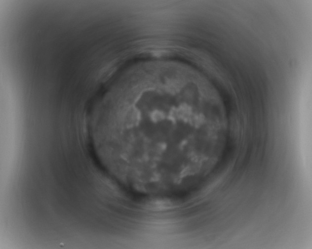 X0000114120650200910131404