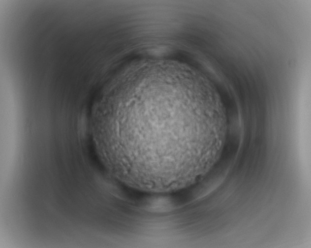 X0000114120651200910131404