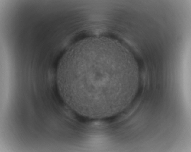 X0000114120657200910131404