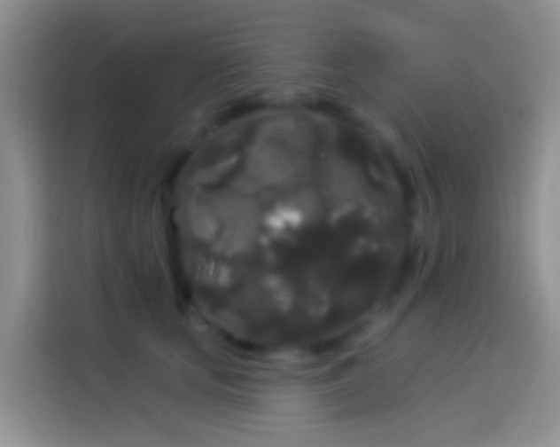 X0000114120659200910131404