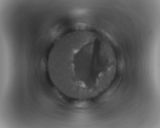 X0000114120661200910131405