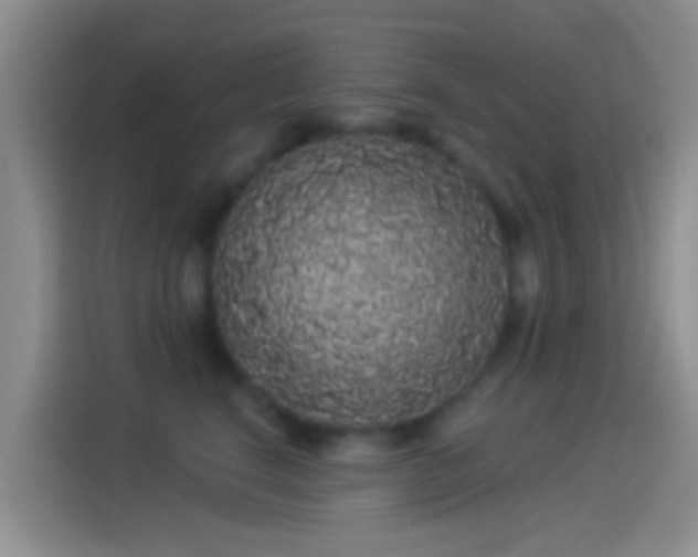 X0000114120664200910131405