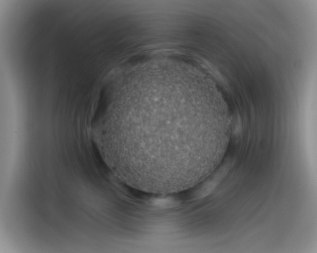 X0000114120669200910131405