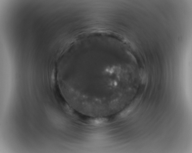 X0000114120670200910131405