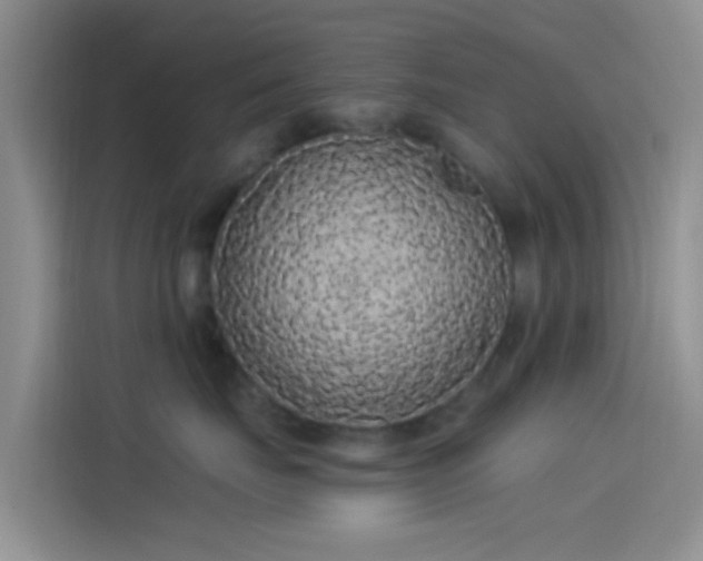 X0000114120671200910131405