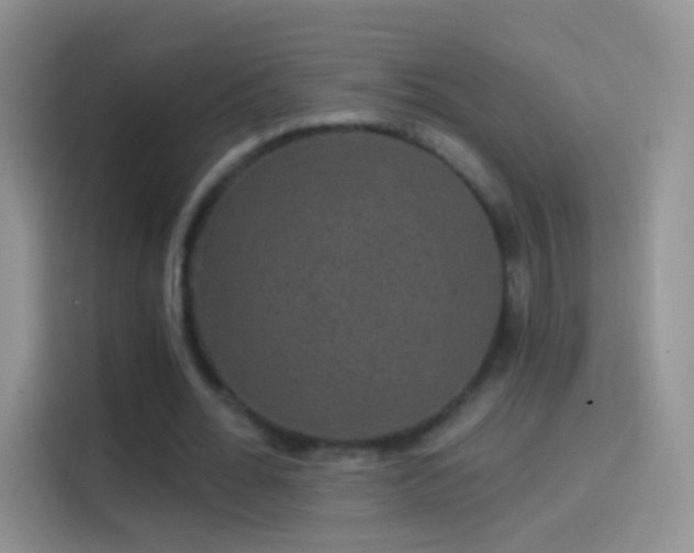 X0000114120676200910131404