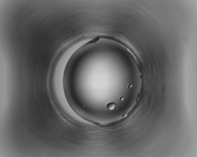 X0000114120677200910131404