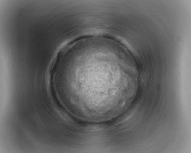 X0000114120679200910131404