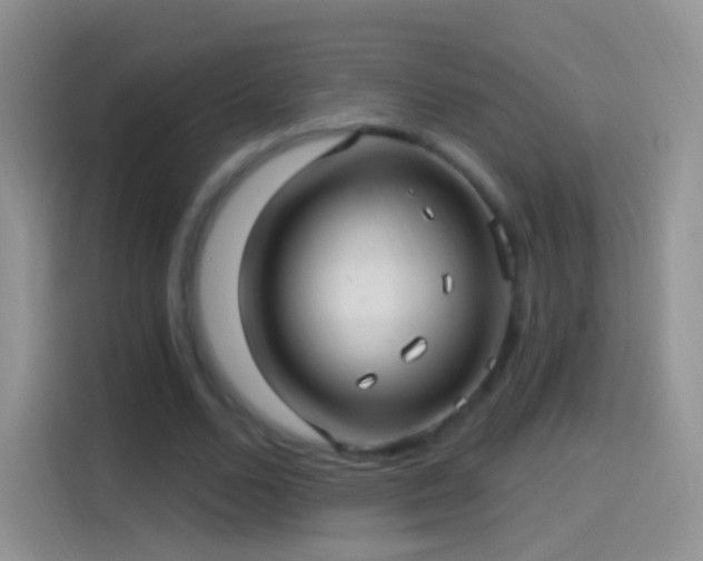 X0000114120680200910131404