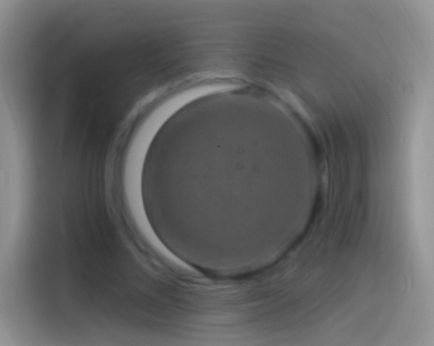 X0000114120684200910131404