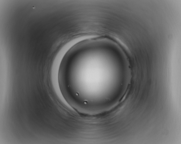 X0000114120685200910131404