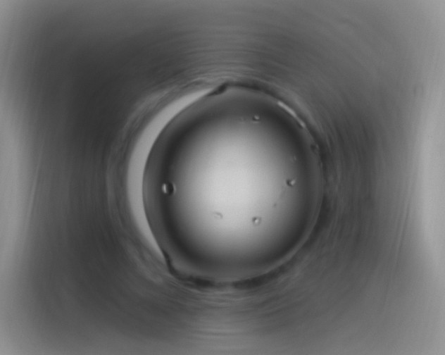 X0000114120688200910131404