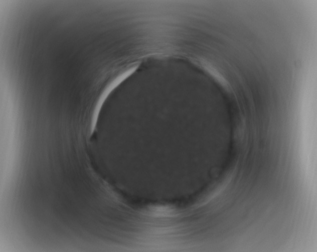 X0000114120689200910131404