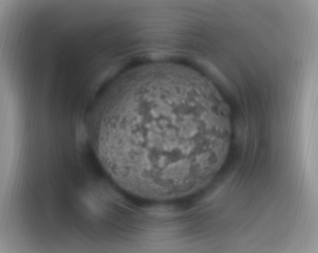 X0000114120691200910131404