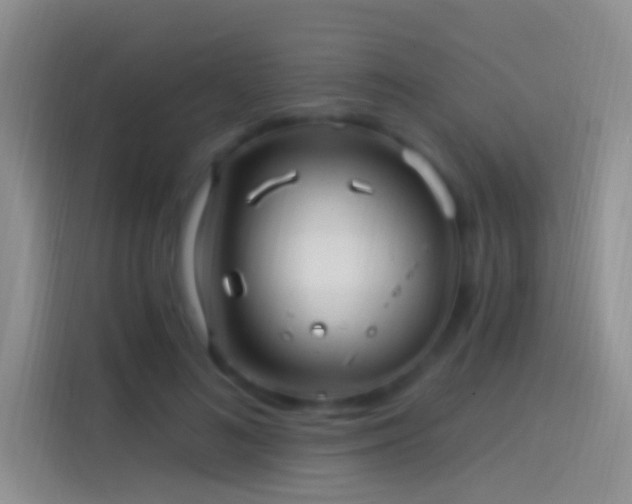 X0000114120692200910131404