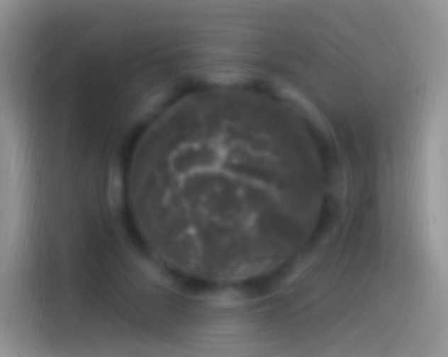 X0000114120696200910131404