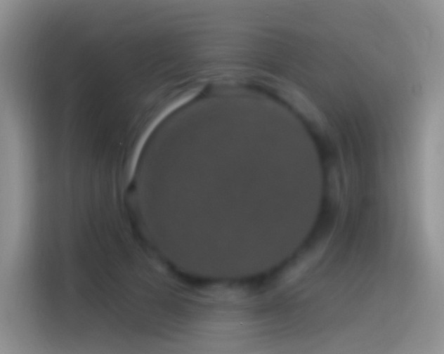 X0000114120697200910131404