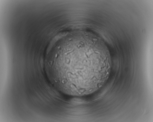 X0000114120699200910131404