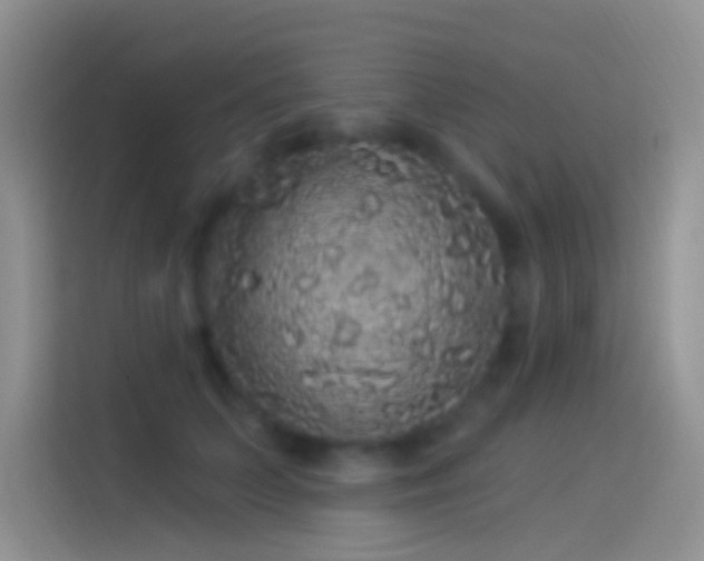 X0000114120703200910131404