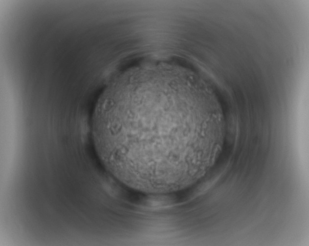 X0000114120707200910131403