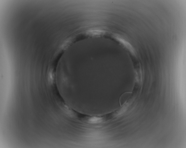 X0000114120718200910131403