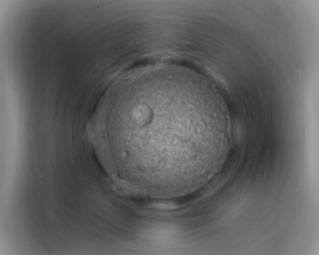 X0000114120719200910131403