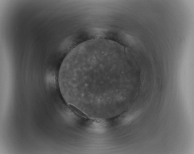 X0000114120720200910131403