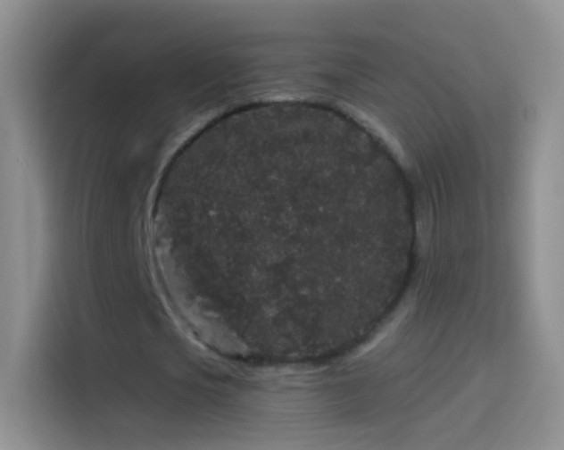 X0000114120721200910131403