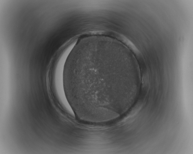 X0000114120722200910131403