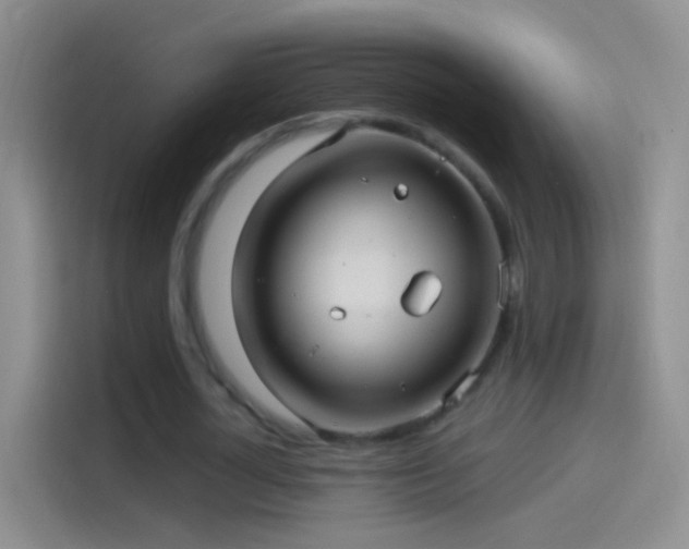 X0000114120724200910131403