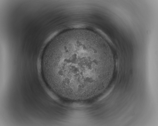 X0000114120725200910131403