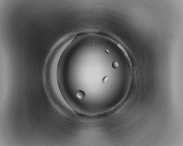 X0000114120726200910131403