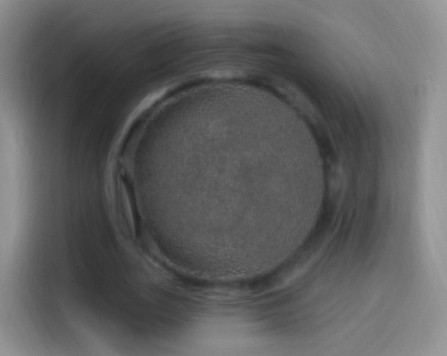 X0000114120727200910131403