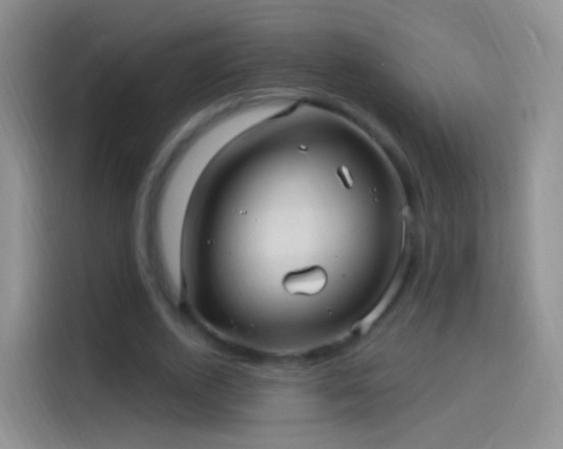 X0000114120728200910131403