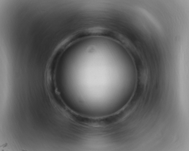 X0000114120731200910131403